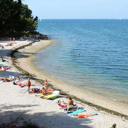 Family Friendly With A Swimming Pool Kastel, Istria - Sredisnja Istra - 21309 * ブイェ
