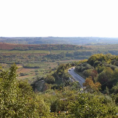 Family Friendly With A Swimming Pool Kastel, Istria - Sredisnja Istra - 21309 Apartment Buje